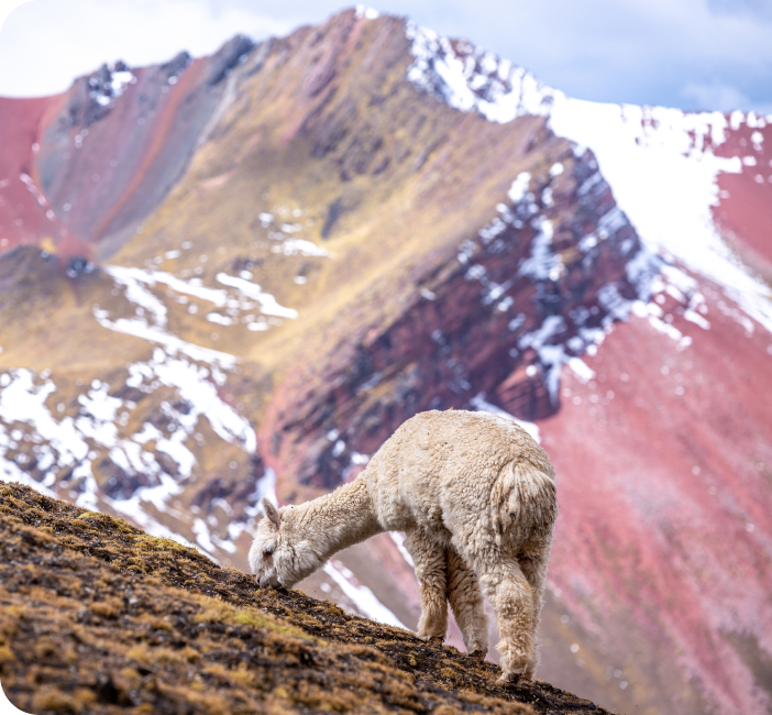 Uncover the ancient mysteries and modern beauty of Peru